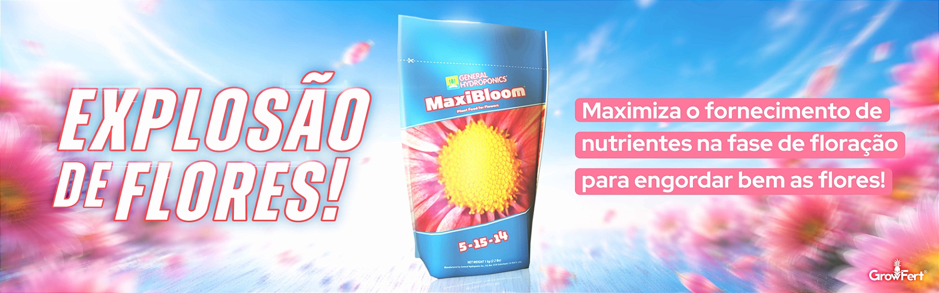 Maxibloom