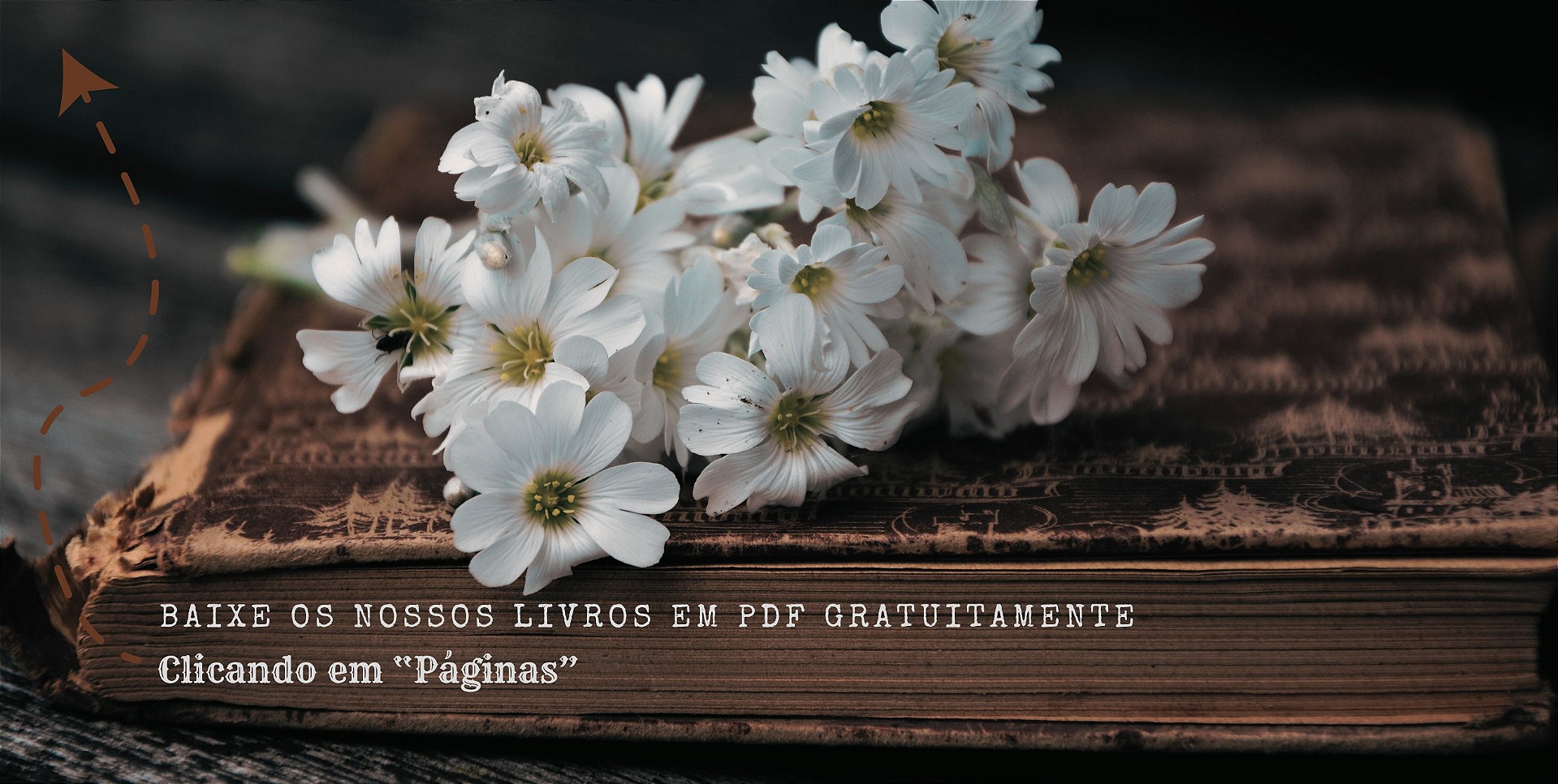 Cantinho Origem dos Livros