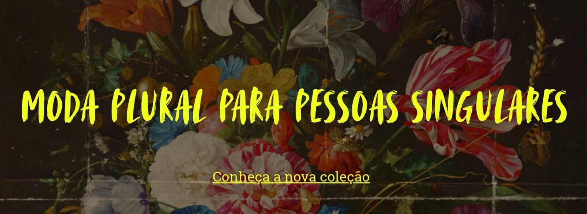 nova coleção