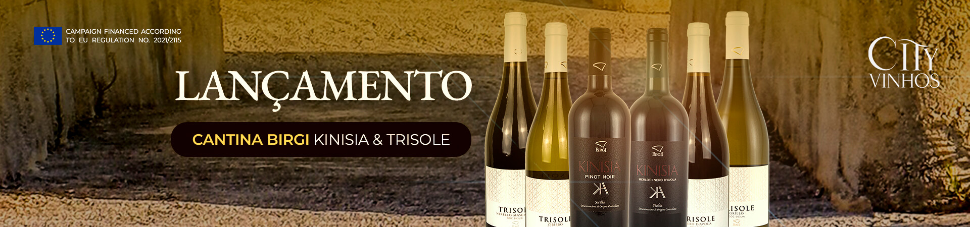 Banner Lançamento Birgi @desktop