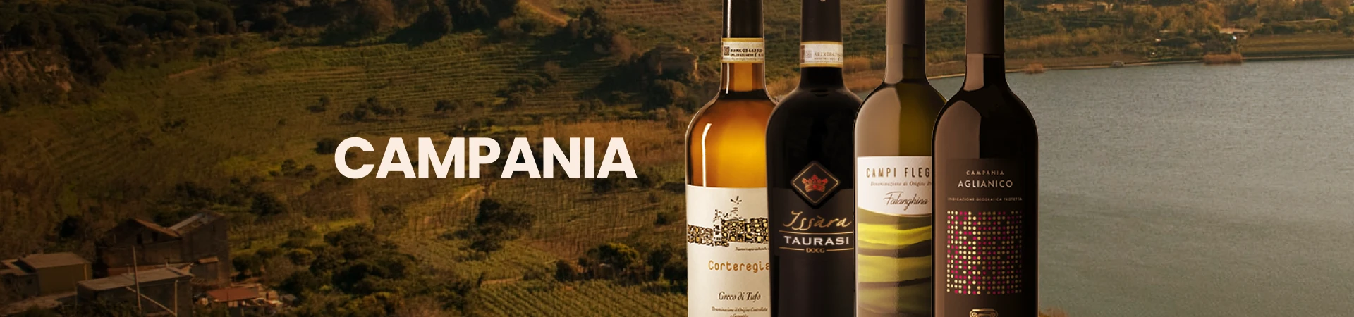 Banner Campania 2 @desktop