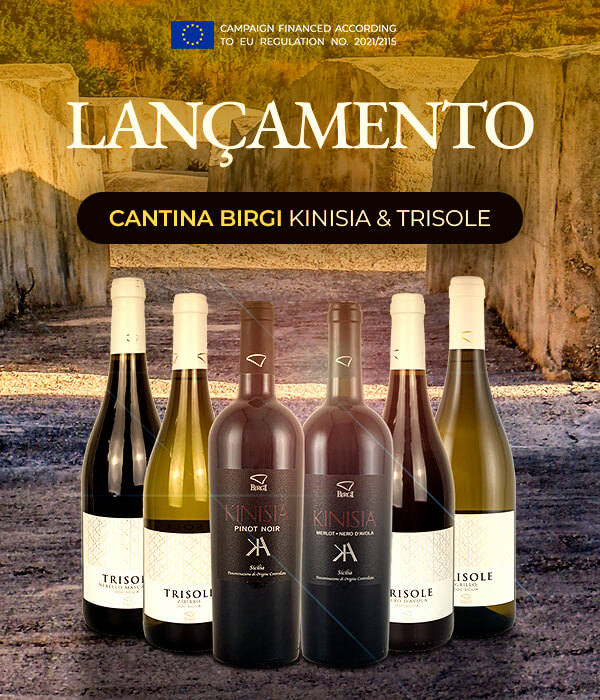 Banner Lançamento Birgi @mobile