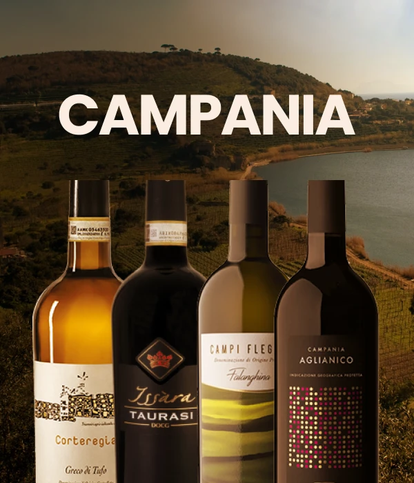 Banner Campania 2 @mobile