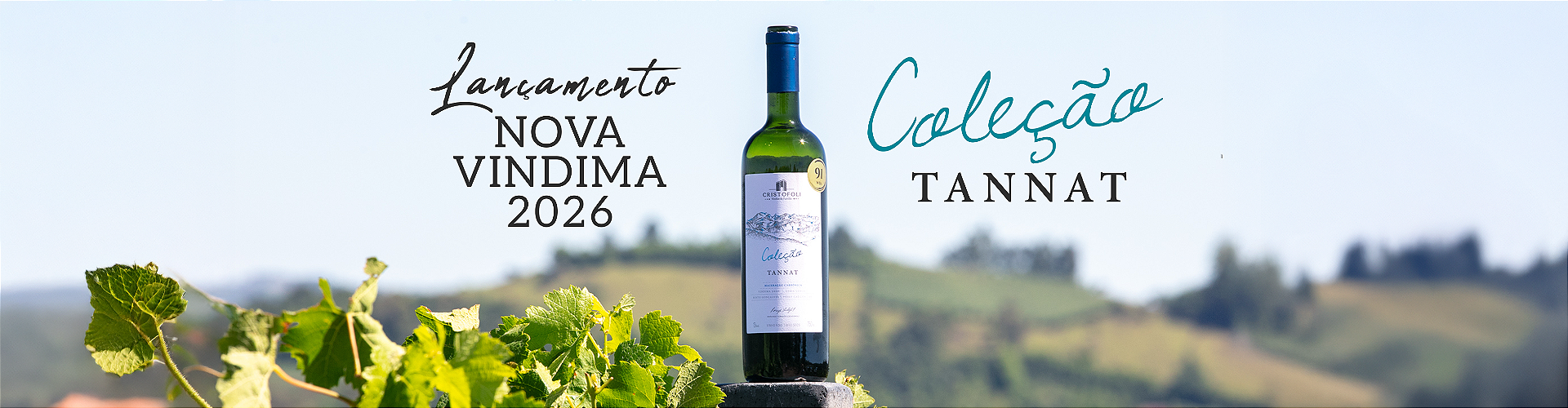 Nova Vindima Tannat Coleção