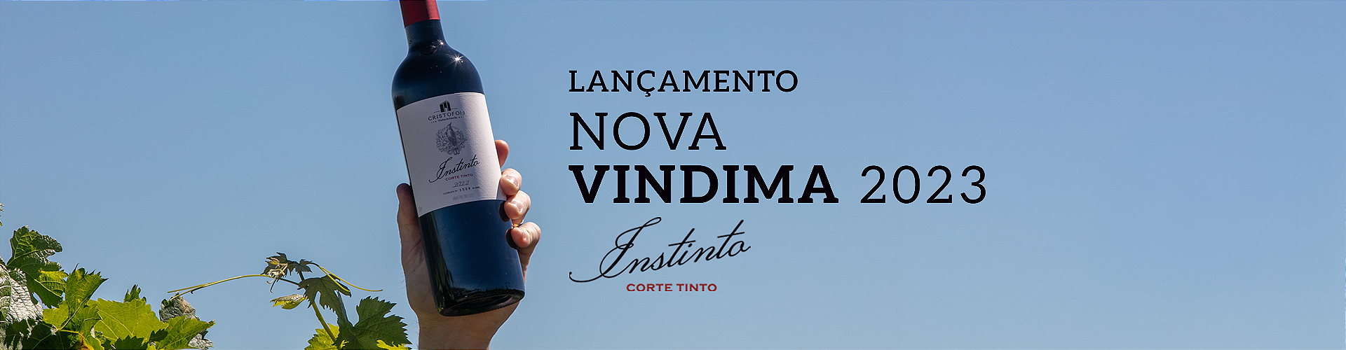 Nova Vindima Instinto 2023