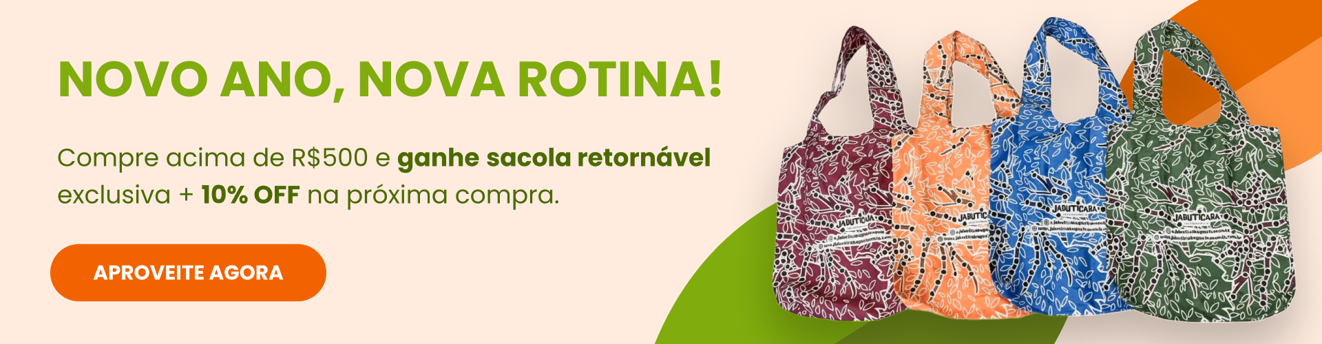 Ano Novo, Nova Rotina