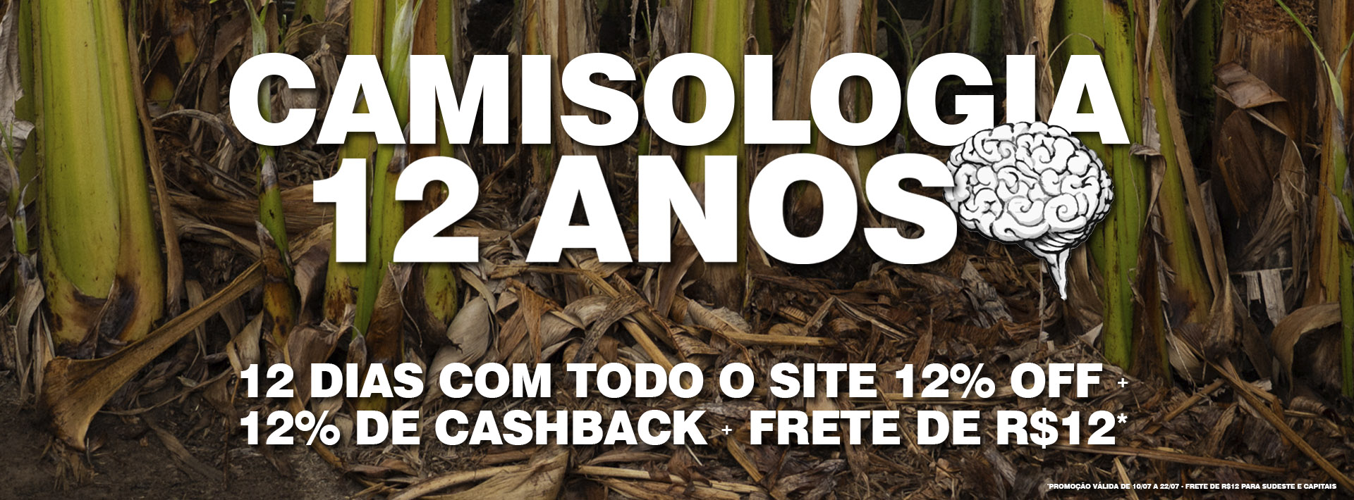 12 anos