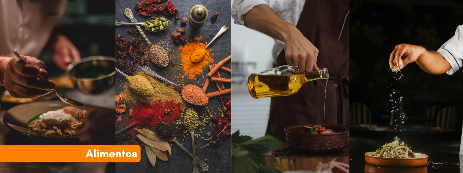 Alimentos Gourmet