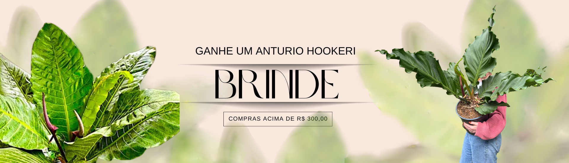 anturio @desktop