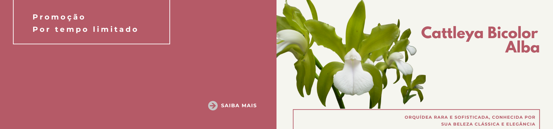 bicolor @desktop