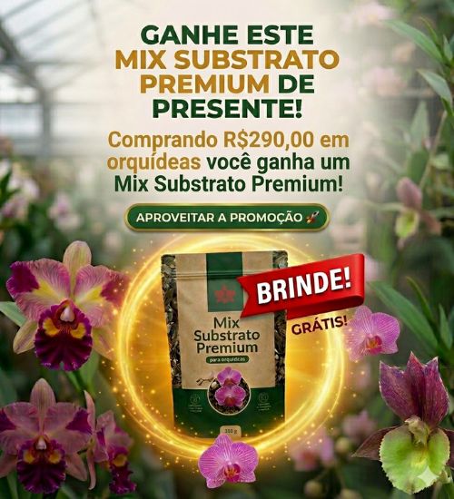 brinde mix @mobile