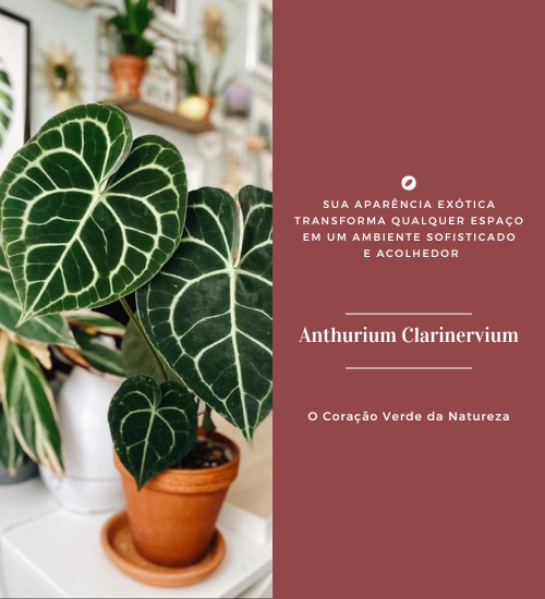 clarinervium1 @mobile