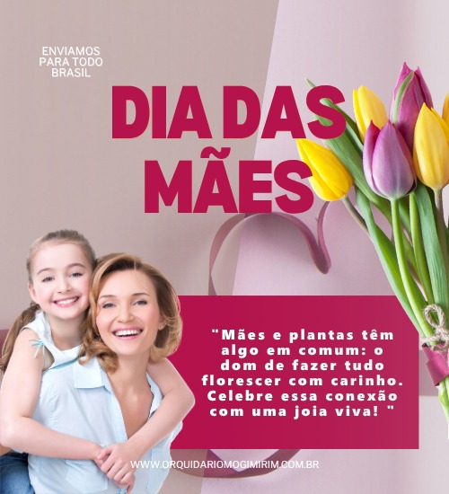 diadasmaes01 @mobile