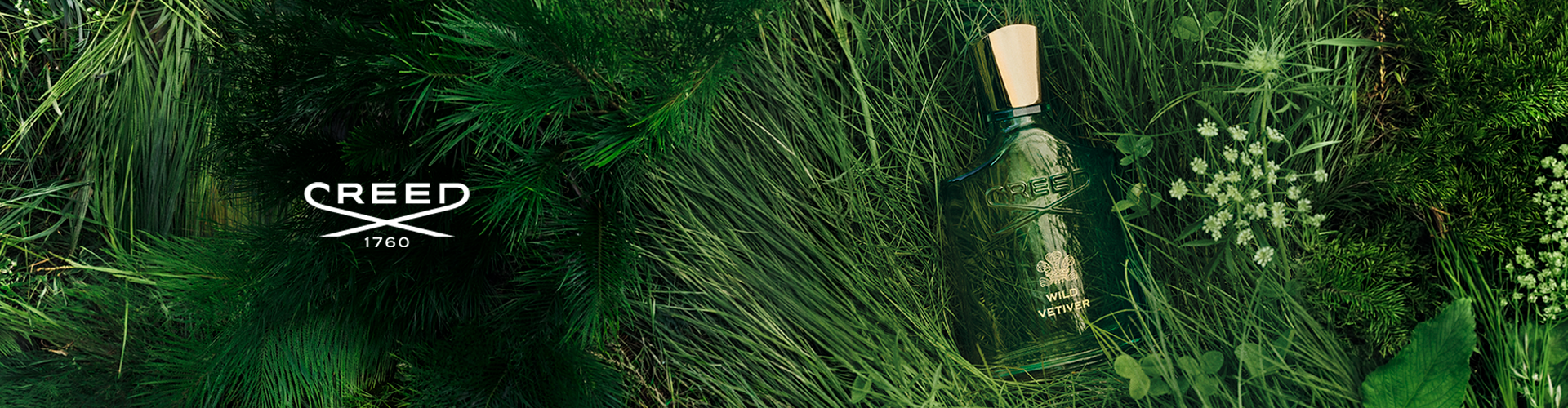 WildVetiver@Desktop