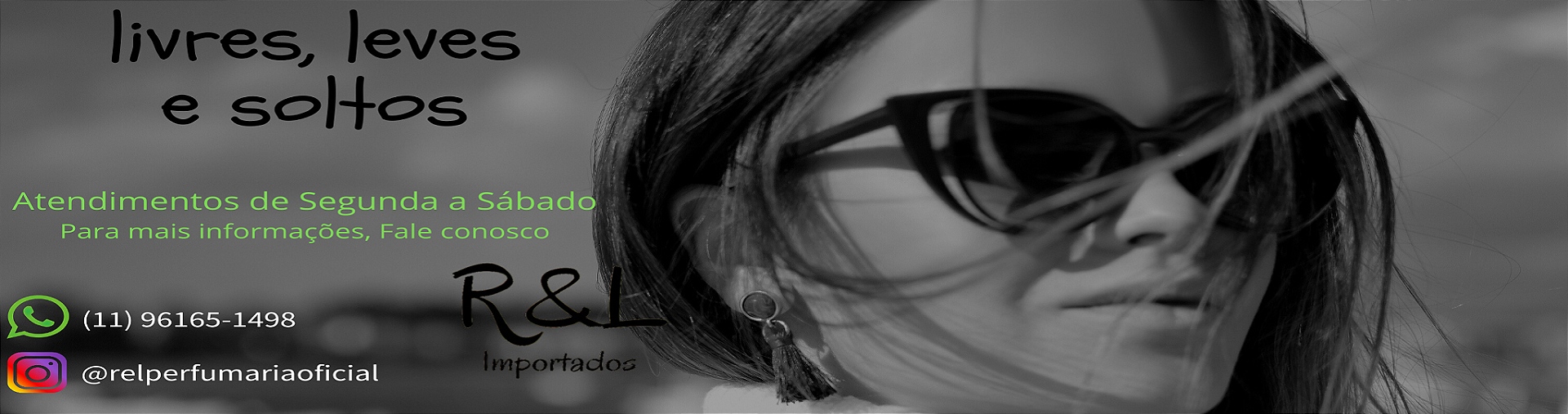 R&L Importados Banner