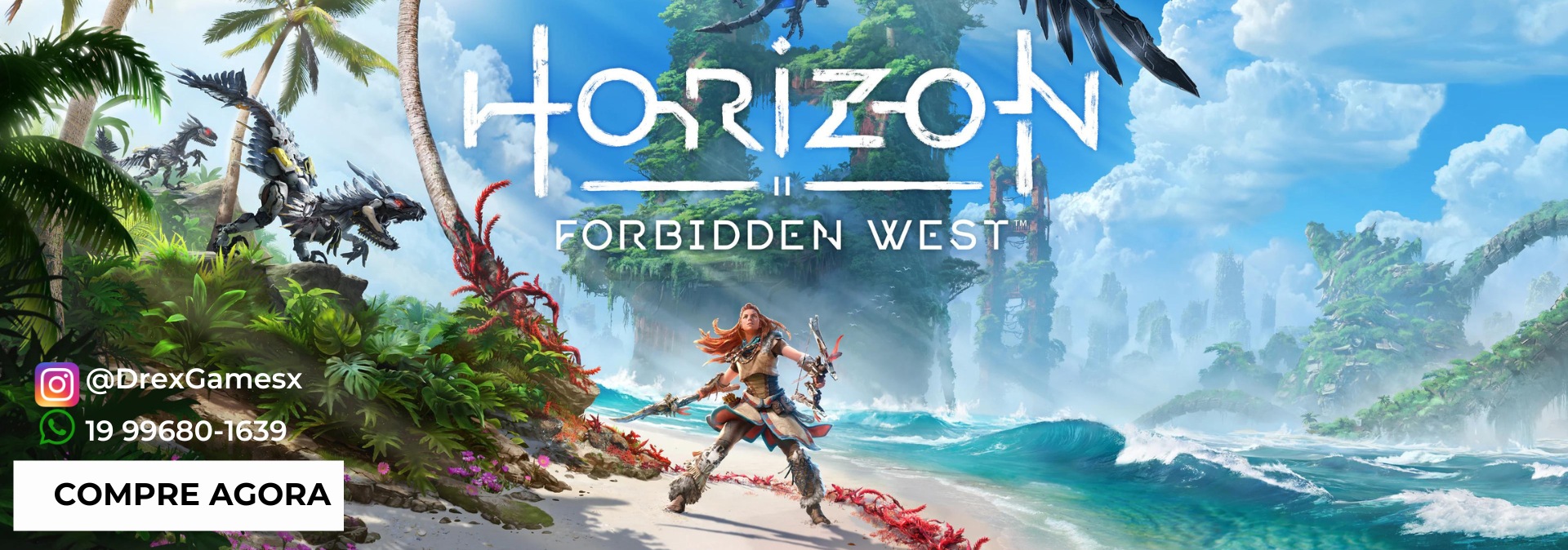 Horizon Forbbiden West  Pc Steam Offline