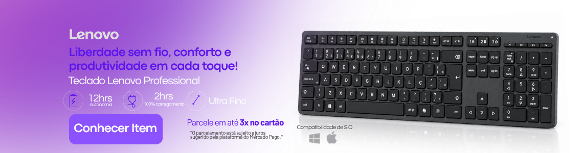 LENOVO PROFESSIONAL