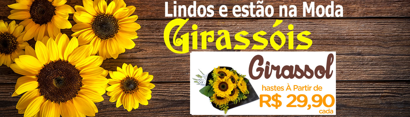 Girassóis