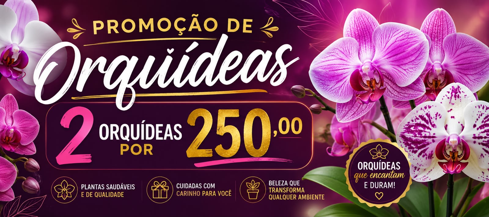 ORQUIDEAS PROMO