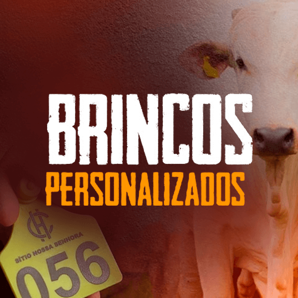 Brinco mobile