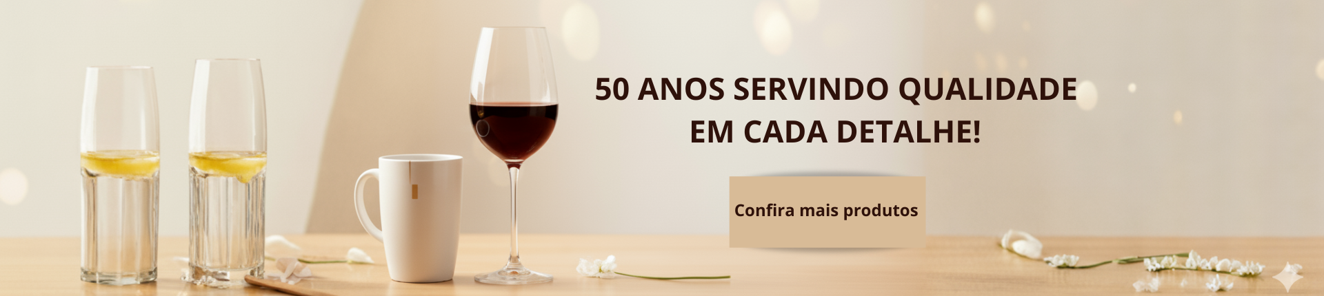 Full Banner 50 anos