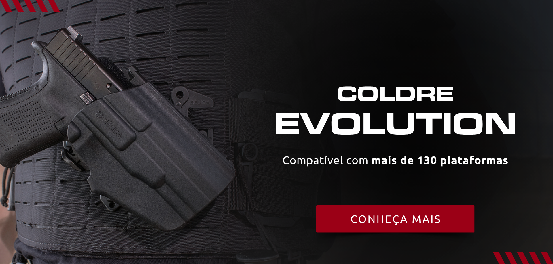 Evolution
