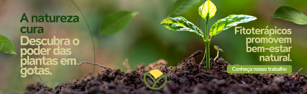 20240415 - Natureza Cura