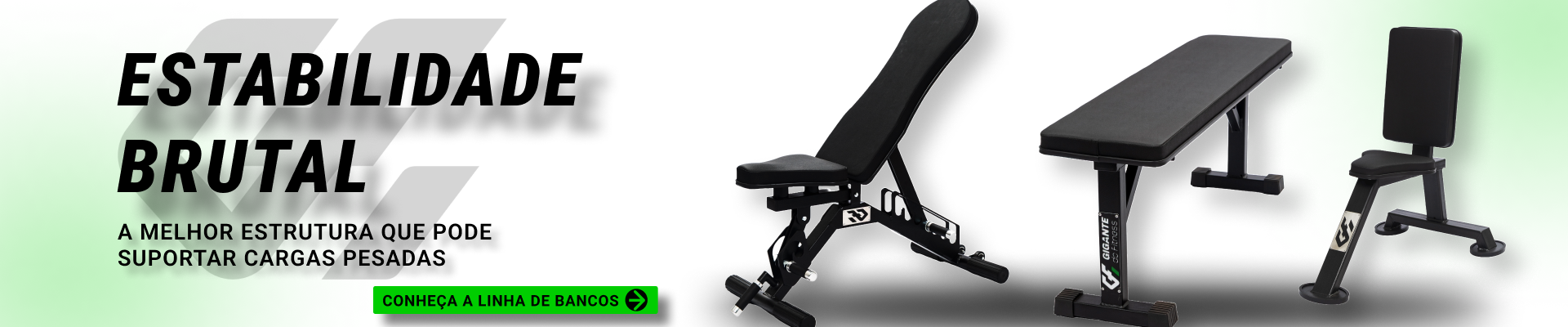 Gigante do Fitness banner 2 ajustado