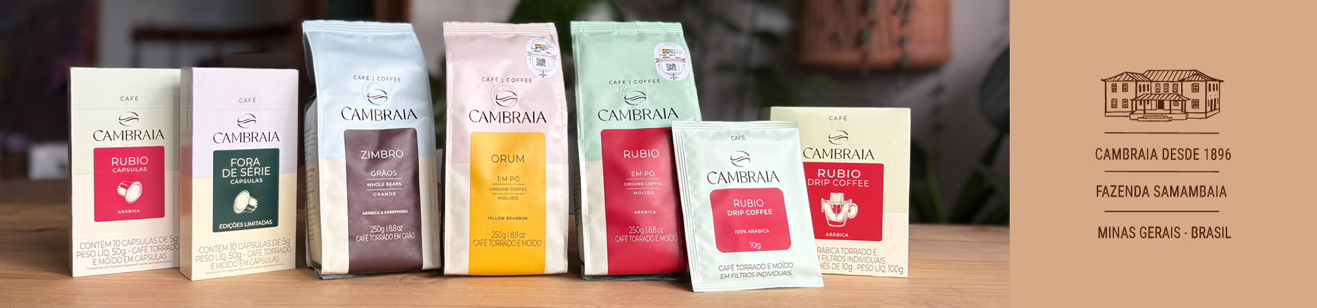 familia Cambraia