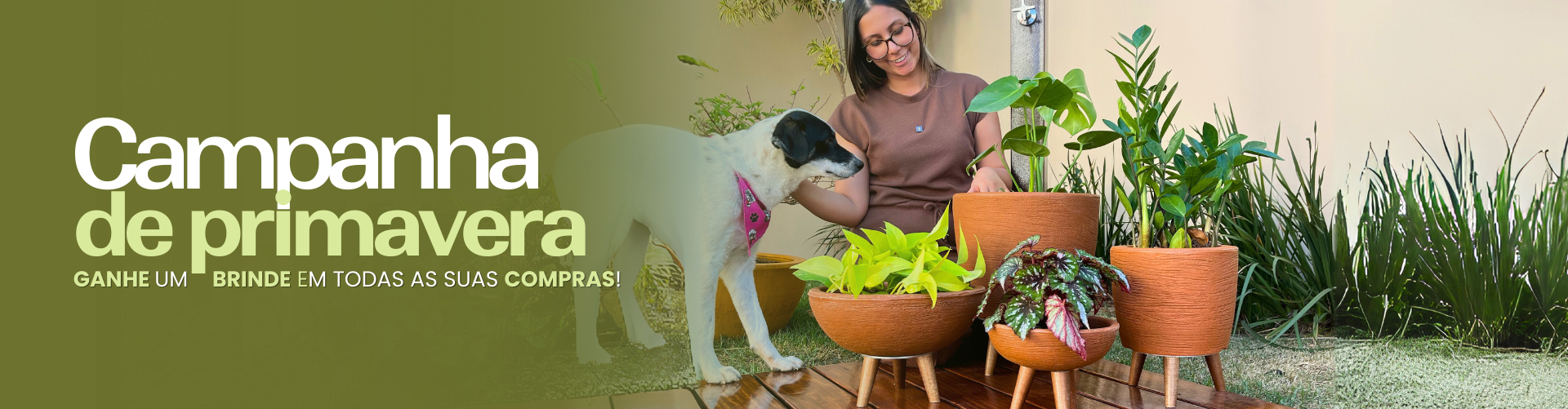 Campanha de Primavera