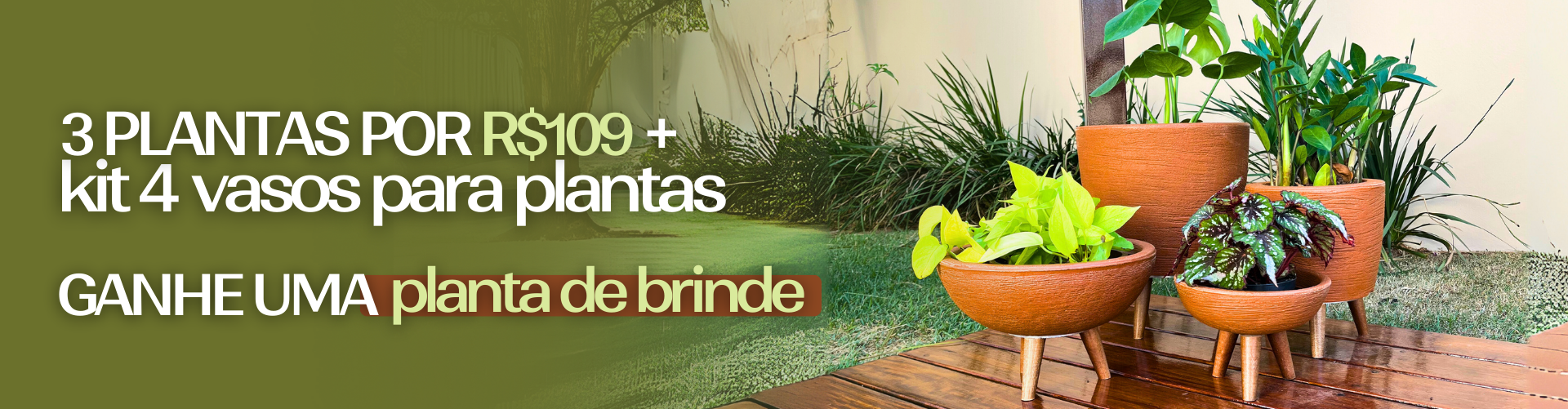 Kit 4 Vasos + 3 plantas por 109