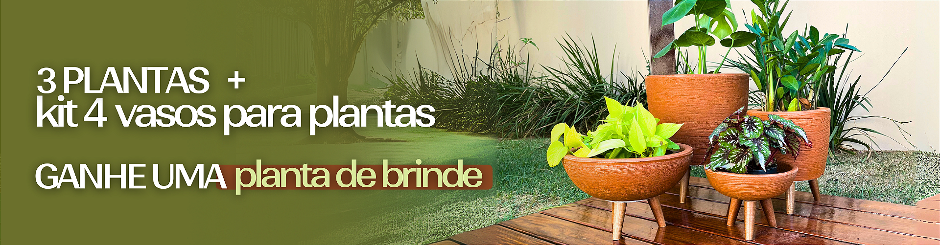 Kit 4 Vasos + 3 plantas por 109
