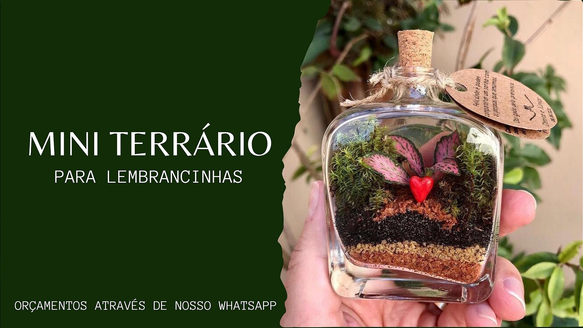 mini terrário