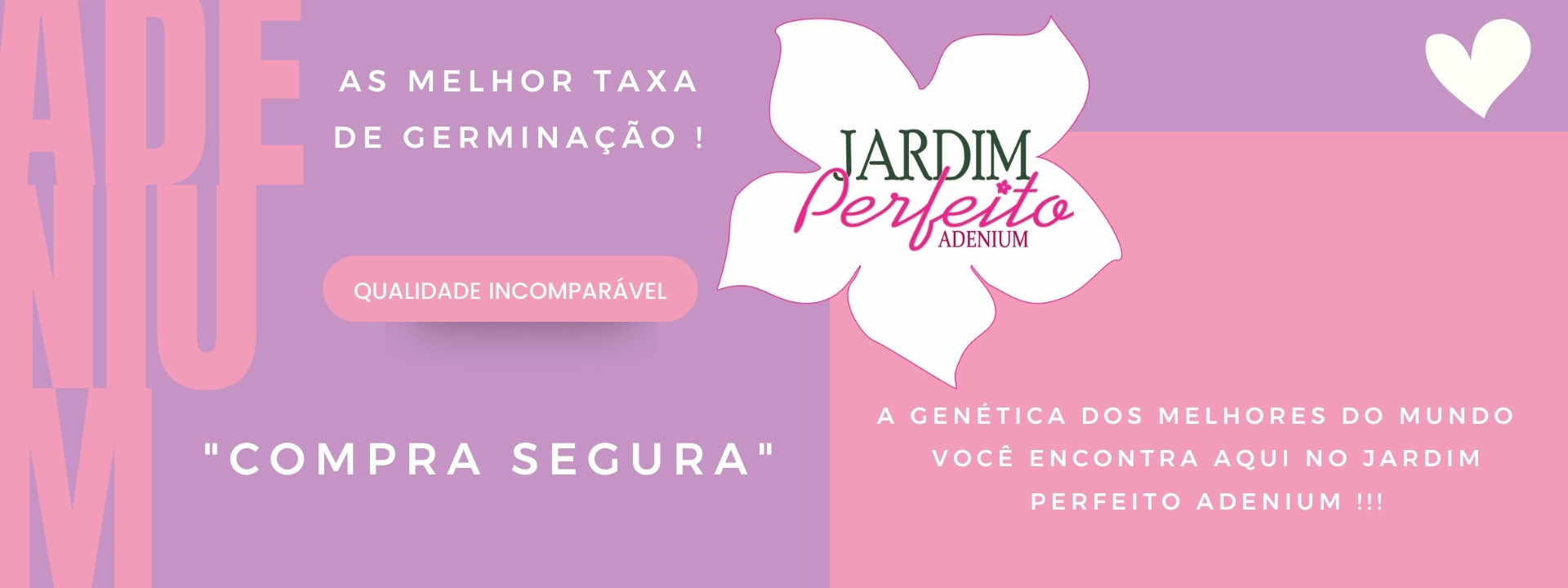 fixo