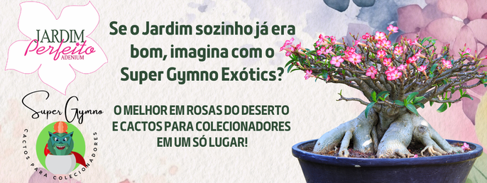 Gymno