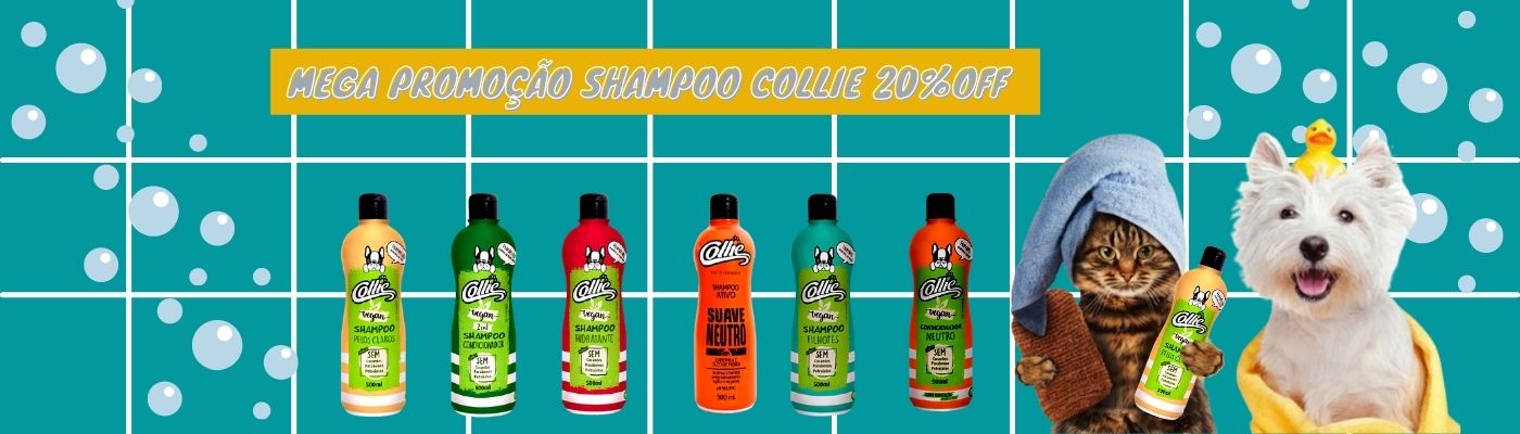 promoção shmpoo collie