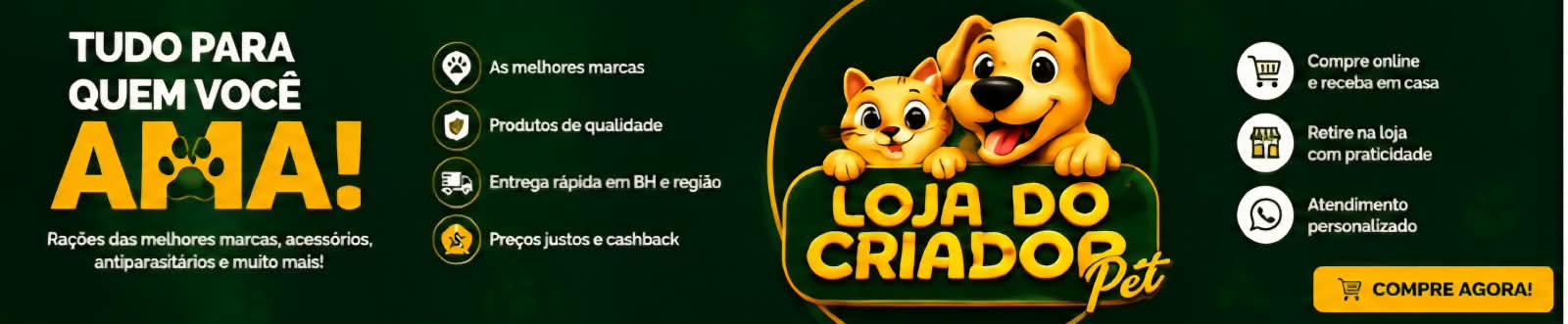 tudo que voce ama