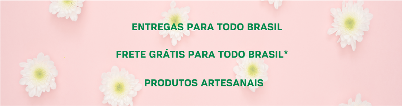 ENTREGAMOS EM TODO BRASILL