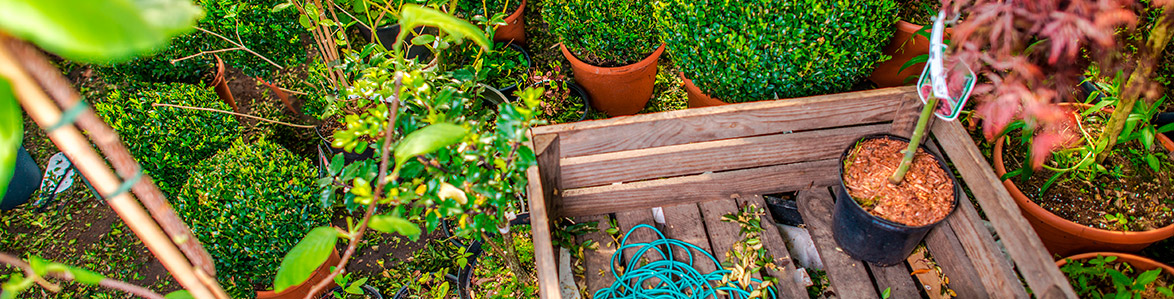 Terra Nova - Artigos para Jardinagem