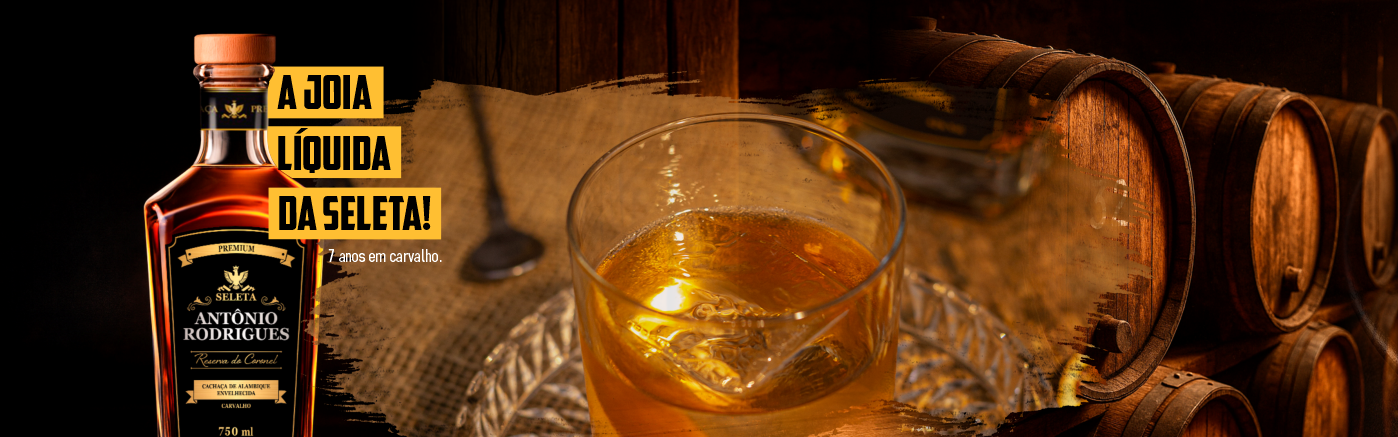 Banner Antônio Rodrigues Home