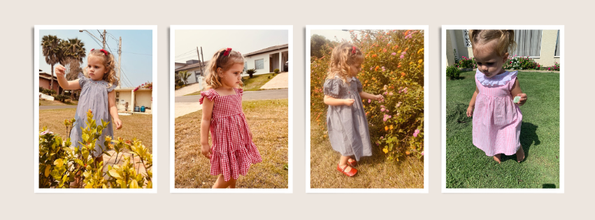 full miss fig banner