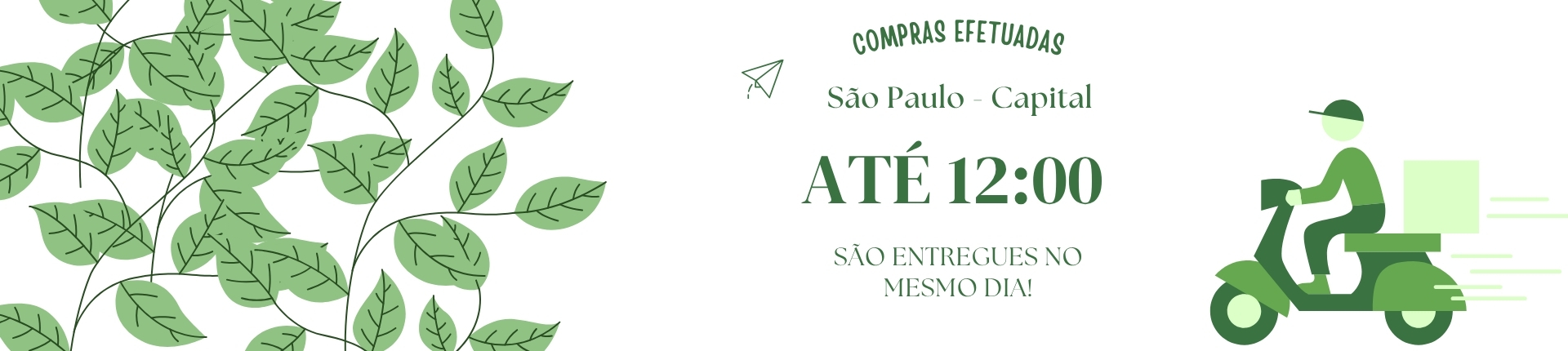 Entregas SP Capital