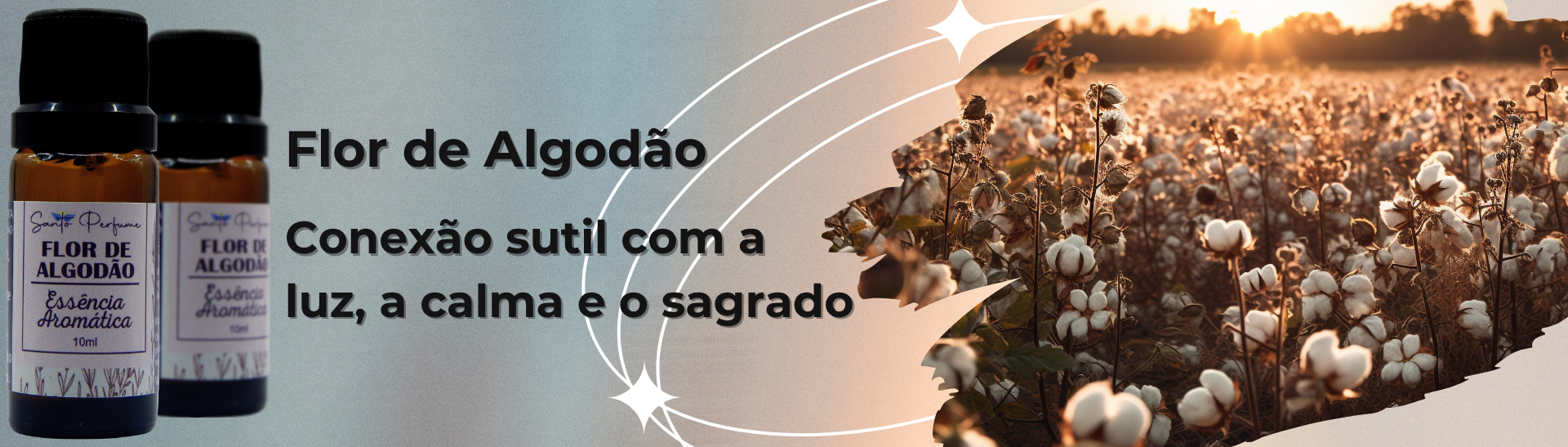 Full Banner Flor de Algodão