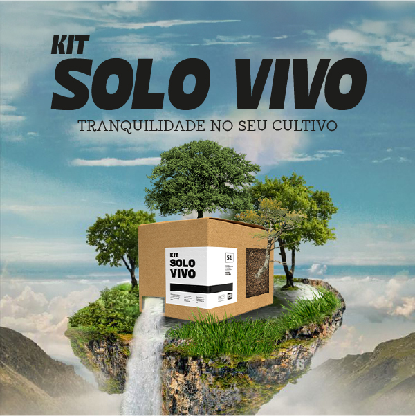 full solo vivo 2 mobile