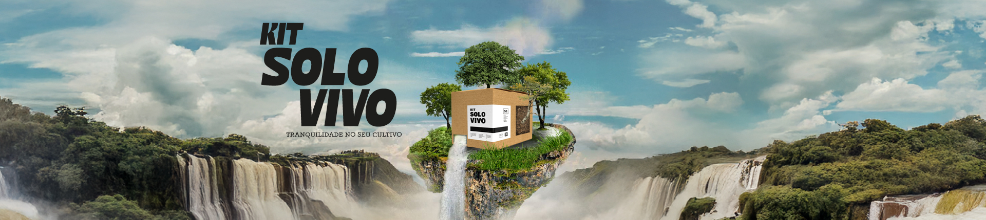 full solo vivo 2