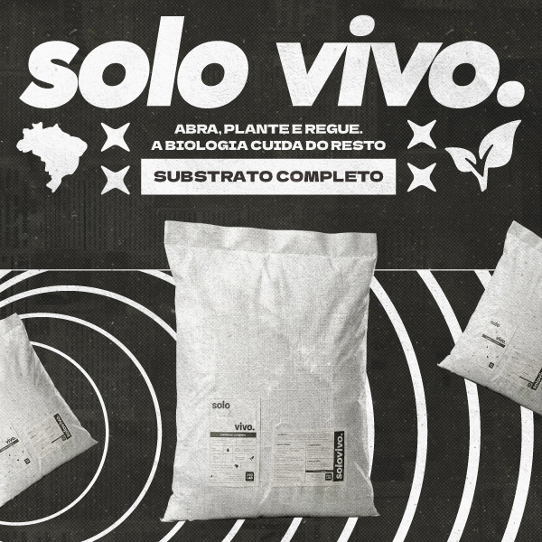 full solo vivo mobile