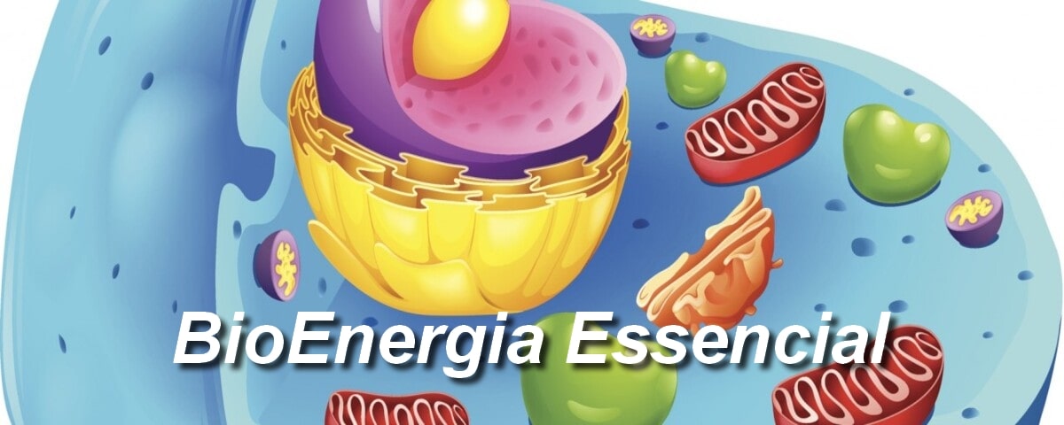 BioEnergia Essencial