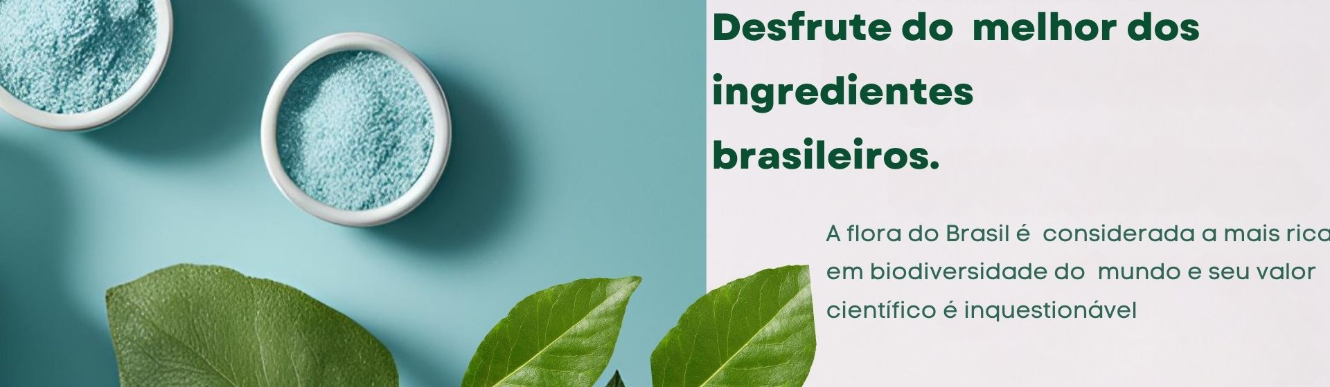 Flora Brasileira