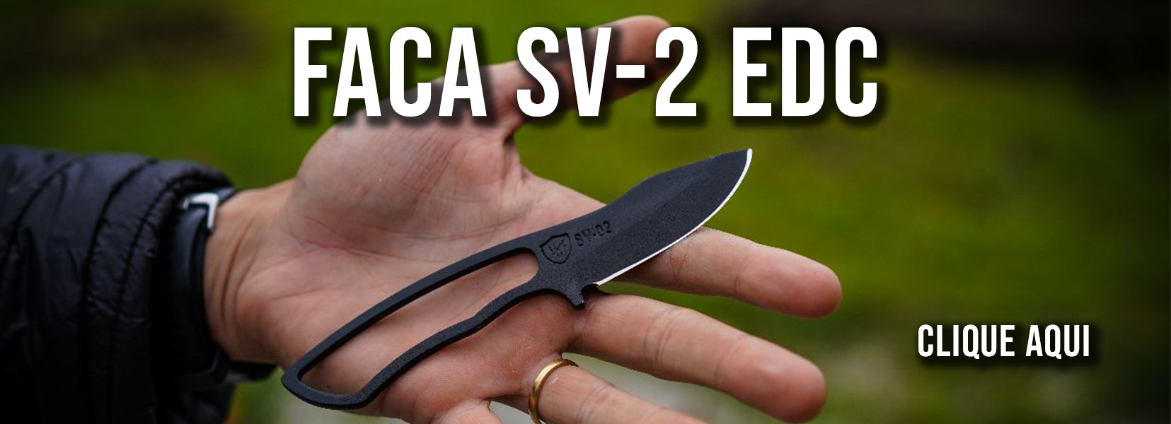 SV2