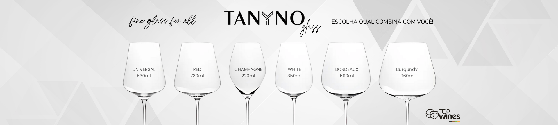 Banner taça Tanyno
